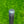 Load image into Gallery viewer, RARE 2025 Center Shafted Phantom X T5/S