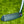 Load image into Gallery viewer, Brand New Mystic Blue Tour F-3 (Tour Del Mar) Proto SSS w/Matte Chrome Shaft