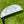 Load image into Gallery viewer, Brand New Mystic Blue Tour F-3 (Tour Del Mar) Proto SSS w/Matte Chrome Shaft