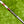 Load image into Gallery viewer, Brand New Mystic Blue Tour F-3 (Tour Del Mar) Proto SSS w/Matte Chrome Shaft