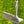 Load image into Gallery viewer, Brand New Tour Select Newport SSS w/No Alignment Aid (Naked)