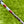 Load image into Gallery viewer, Brand New Tour Select Newport SSS w/No Alignment Aid (Naked)