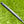Load image into Gallery viewer, Brand New Tour Select Newport SSS w/No Alignment Aid (Naked)