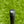 Load image into Gallery viewer, Brand New Tour Select Newport SSS w/No Alignment Aid (Naked)