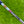 Load image into Gallery viewer, Brand New 009m Black Carbon w/Surfer Stamp, Tungsten Sole Weights, & Multi Color Paint Fill