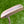Load image into Gallery viewer, Brand New Chromatic Bronze "S. Cameron" Hand Crafted Craftsman 1.5 SSS w/Welded Round Neck