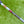 Load image into Gallery viewer, Brand New Chromatic Bronze "S. Cameron" Hand Crafted Craftsman 1.5 SSS w/Welded Round Neck