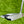 Load image into Gallery viewer, Brand New (1st of Its Kind) 2025 Phantom X T11 SSS w/Single Bend Neck