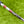 Load image into Gallery viewer, Brand New (1st of Its Kind) 2025 Phantom X T11 SSS w/Single Bend Neck
