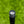 Load image into Gallery viewer, Brand New (1st of Its Kind) 2025 Phantom X T11 SSS w/Single Bend Neck