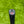 Load image into Gallery viewer, Brand New 009m SSS w/Scotty Dog Hand Stamp & Tour Bombs @ 350g