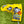 Load image into Gallery viewer, Brand New Tour Golo 6.5 SSS w/a Weldded Flojet Neck & Yellow Baller Boy Headcover