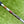 Load image into Gallery viewer, Brand New Timeless Tourtype (TT) SSS w/Premium Tour Hand Stamps @ 350g