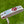Load image into Gallery viewer, Brand New (Cam Smith Style) Masterful Tourtype 1.5 SSS w/Top Line Alignment Aid