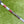 Load image into Gallery viewer, Brand New (Cam Smith Style) Masterful Tourtype 1.5 SSS w/Top Line Alignment Aid
