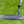 Load image into Gallery viewer, Brand New "Carlsbad, CA 92009" Carbon 009m (Masterful) w/USA Neck Stamp @ 350g
