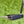Load image into Gallery viewer, Brand New Phantom X T12 w/Black Shaft & Tour Jester (KOBE) Headcover