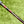 Load image into Gallery viewer, Brand New Phantom X T12 w/Black Shaft & Tour Jester (KOBE) Headcover