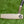 Load image into Gallery viewer, Brand New Chrome Bronze 2025 Phantom X T11.5 SSS w/Welded Flojet Neck & Black Shaft