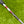 Load image into Gallery viewer, Brand New Made for the Tour Select Golo M3 SSS