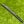 Load image into Gallery viewer, Brand New Made for the Tour Select Golo M3 SSS