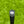 Load image into Gallery viewer, Brand New Made for the Tour Select Golo M3 SSS