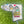 Load image into Gallery viewer, Japan M&G Limited Release "Slamm'n Sumo" Blade Headcover