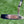 Load image into Gallery viewer, Brand New Chromatic Bronze T22 Newport 2 Tour Teryllium w/Black Tour Shaft