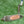 Load image into Gallery viewer, Brand New Chromatic Bronze T22 Newport 2 Tour Teryllium w/Black Tour Shaft