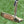 Load image into Gallery viewer, Brand New Chromatic Bronze T22 Newport 2 Tour Teryllium w/Black Tour Shaft