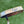 Load image into Gallery viewer, Brand New Chromatic Bronze T22 Newport 2 Tour Teryllium w/Black Tour Shaft