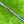 Load image into Gallery viewer, Brand New Blacked Out 2025 Phantom X T11 SSS w/Black Shaft