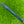 Load image into Gallery viewer, Brand New Blacked Out 2025 Phantom X T11 SSS w/Black Shaft