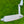 Load image into Gallery viewer, Brand New Timeless (TT) SSS w/4x Premium Cavity Hand Stamps & Pink Camo Tour Headcover