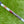 Load image into Gallery viewer, Brand New Timeless (TT) SSS w/4x Premium Cavity Hand Stamps & Pink Camo Tour Headcover