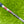 Load image into Gallery viewer, Brand New Masterful Santa Fe Tourtype SSS (1st of its Kind)