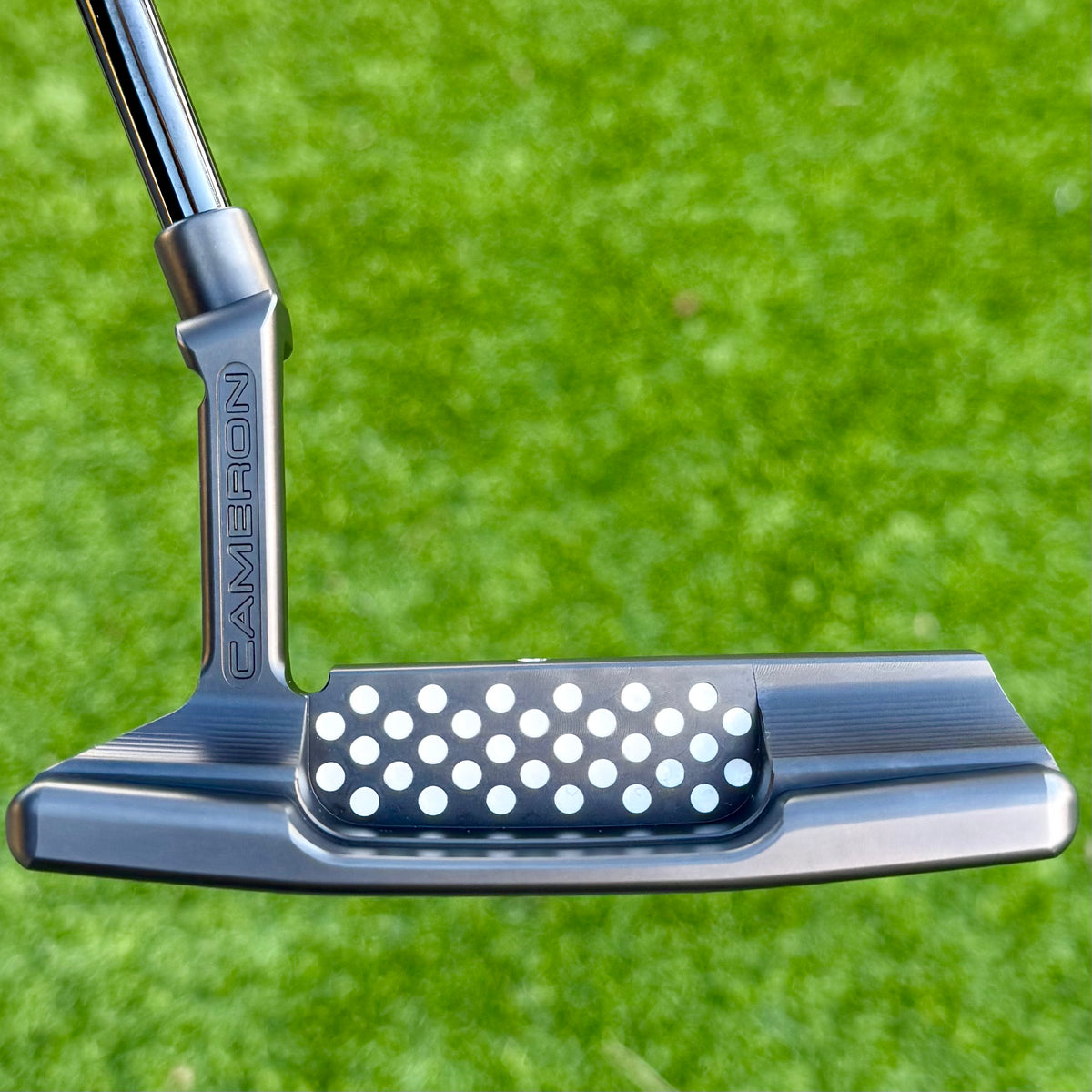 Brand New Holiday 2025 (H25) Newport 2 Teryllium – epicscottys