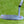 Load image into Gallery viewer, Brand New Vault Exclusive, S. Cameron 009m Carbon Garage "Fruit Loops" Fancy Back

