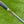 Load image into Gallery viewer, Brand New Vault Exclusive, S. Cameron 009m Carbon Garage "Fruit Loops" Fancy Back
