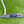 Load image into Gallery viewer, Brand New 2-Tone Timeless 2.5 SSS w/Welded Flojet Neck &amp; Polished Top Line

