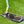 Load image into Gallery viewer, Brand New 2-Tone Timeless 2.5 SSS w/Welded Flojet Neck &amp; Polished Top Line
