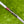 Load image into Gallery viewer, Tour Phantom T3.2 (Ludvig Åberg Style) w/Welded Plumbers Neck &amp; Short Single Alignment Aid
