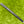 Load image into Gallery viewer, Tour Phantom T3.2 (Ludvig Åberg Style) w/Welded Plumbers Neck &amp; Short Single Alignment Aid
