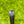 Load image into Gallery viewer, Tour Phantom T3.2 (Ludvig Åberg Style) w/Welded Plumbers Neck &amp; Short Single Alignment Aid
