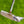 Load image into Gallery viewer, Brand New Timeless Plus Tourtype SSS w/Welded Center Shaft

