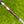 Load image into Gallery viewer, Brand New Timeless Plus Tourtype SSS w/Welded Center Shaft
