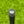 Load image into Gallery viewer, Brand New Timeless Plus Tourtype SSS w/Welded Center Shaft
