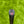 Load image into Gallery viewer, Made for the Tour Studio Style Newport 2 Plus in Black Finish
