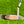 Load image into Gallery viewer, Chromatic Bronze T22 Tour Newport 2 Teryllium w/Black Tour Shaft &amp; Top Dot
