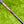 Load image into Gallery viewer, Chromatic Bronze T22 Tour Newport 2 Teryllium w/Black Tour Shaft &amp; Top Dot
